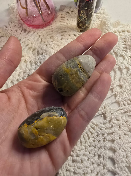 Bumblebee Jasper Tumbles